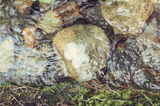 Vacay in Martha's Vineyard - Copyright Melissa O'Connor-Arena