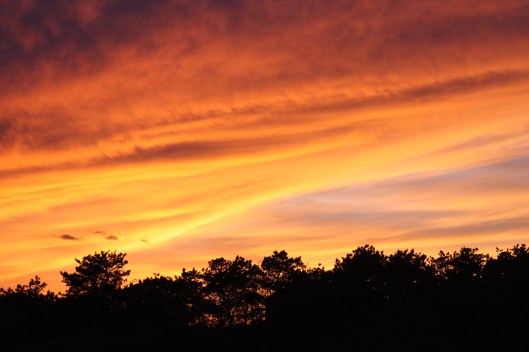 Vacay in Martha's Vineyard - Copyright Melissa O'Connor-Arena