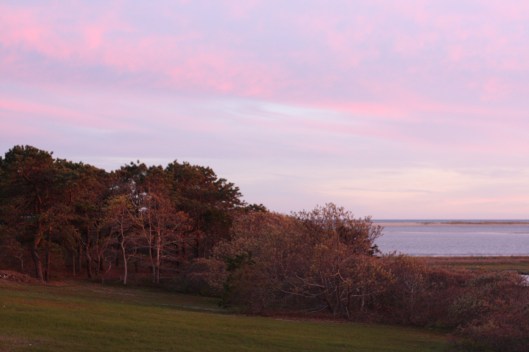 Vacay in Martha's Vineyard - Copyright Melissa O'Connor-Arena