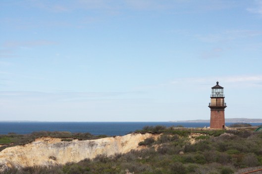 Vacay in Martha's Vineyard - Copyright Melissa O'Connor-Arena
