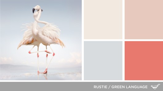 Sound in Color: Rustie-Green Language