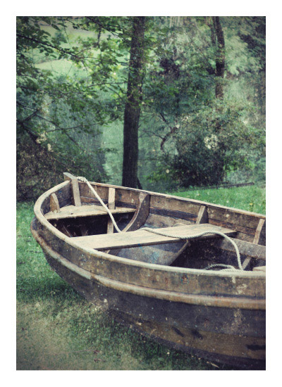 Water Penny - Photo by Melissa O'Connor-Arena