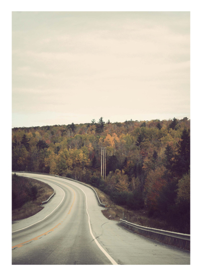 The Road Home - Photo by Melissa O'Connor-Arena