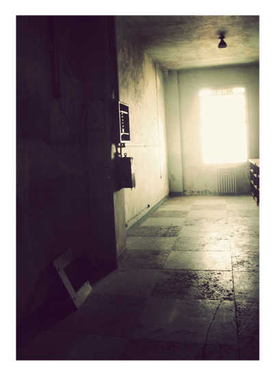 Alcatraz - Photo by Melissa O'Connor-Arena