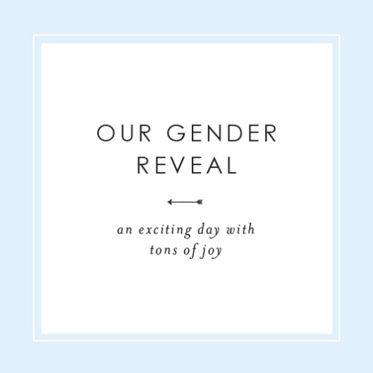 Our Gender Reveal