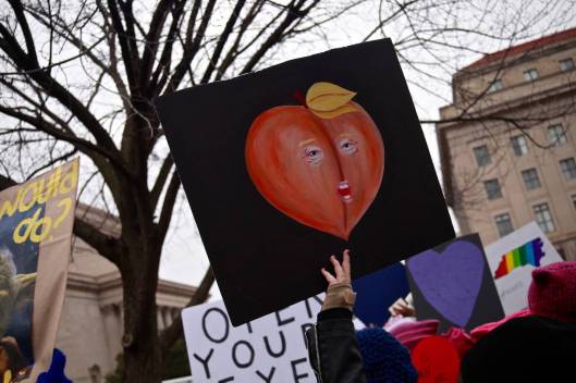 some-of-the-best-signs-from-the-womens-march-on-washington-body-image-1485097290