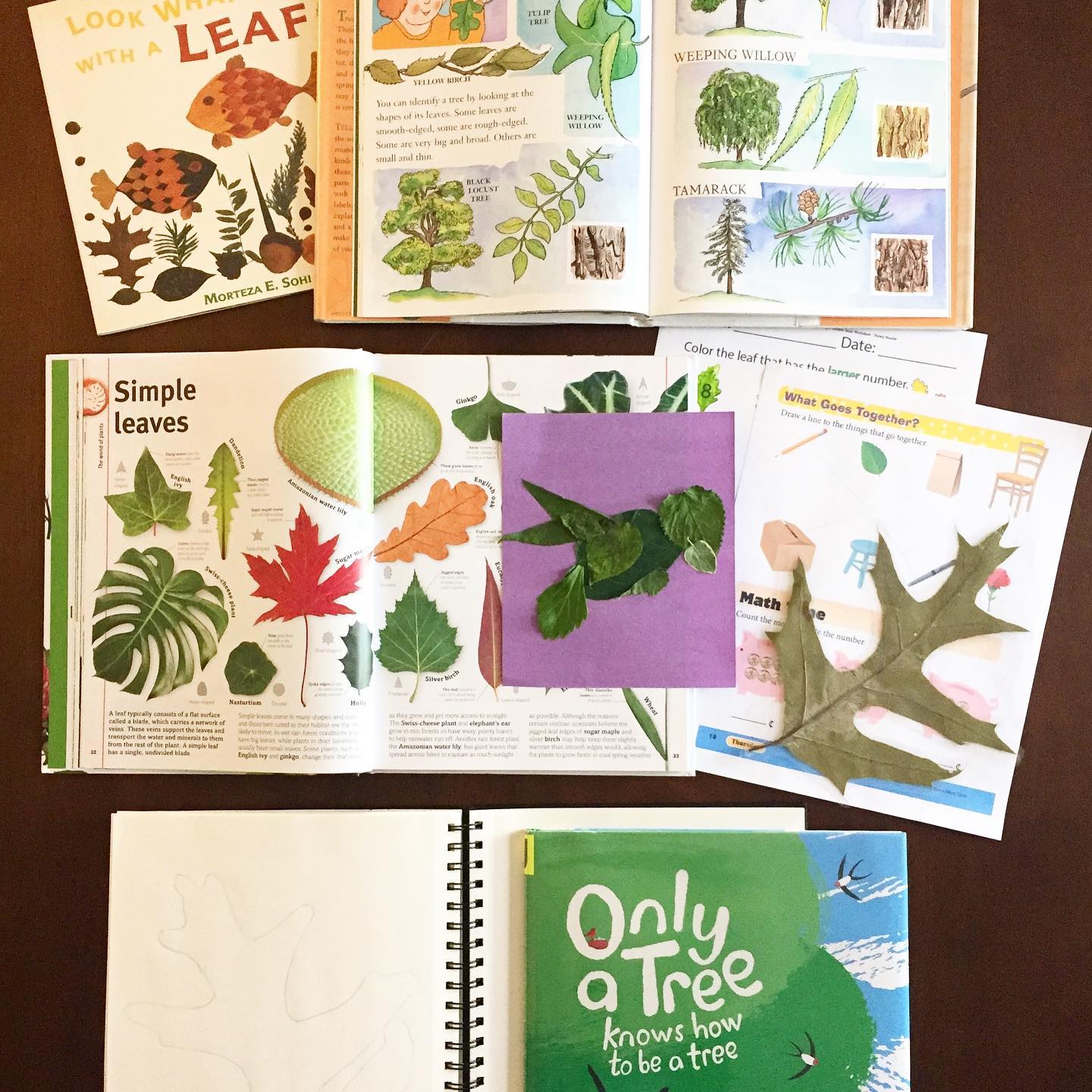 Tree Study Books Summer Tree Study | The Design Inspirationalist